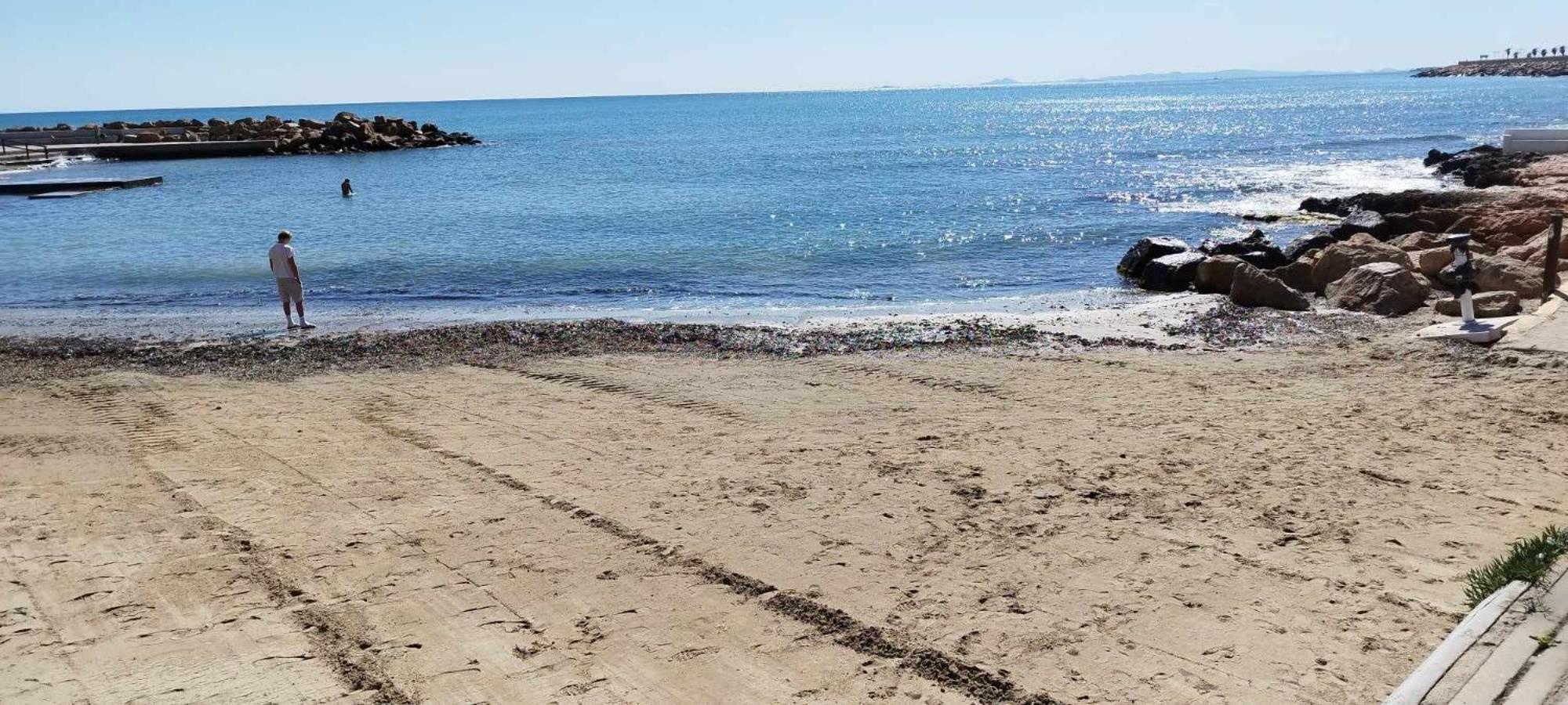 Apartment Seaview Playa Del Cura 50m Citycentre Torrevieja