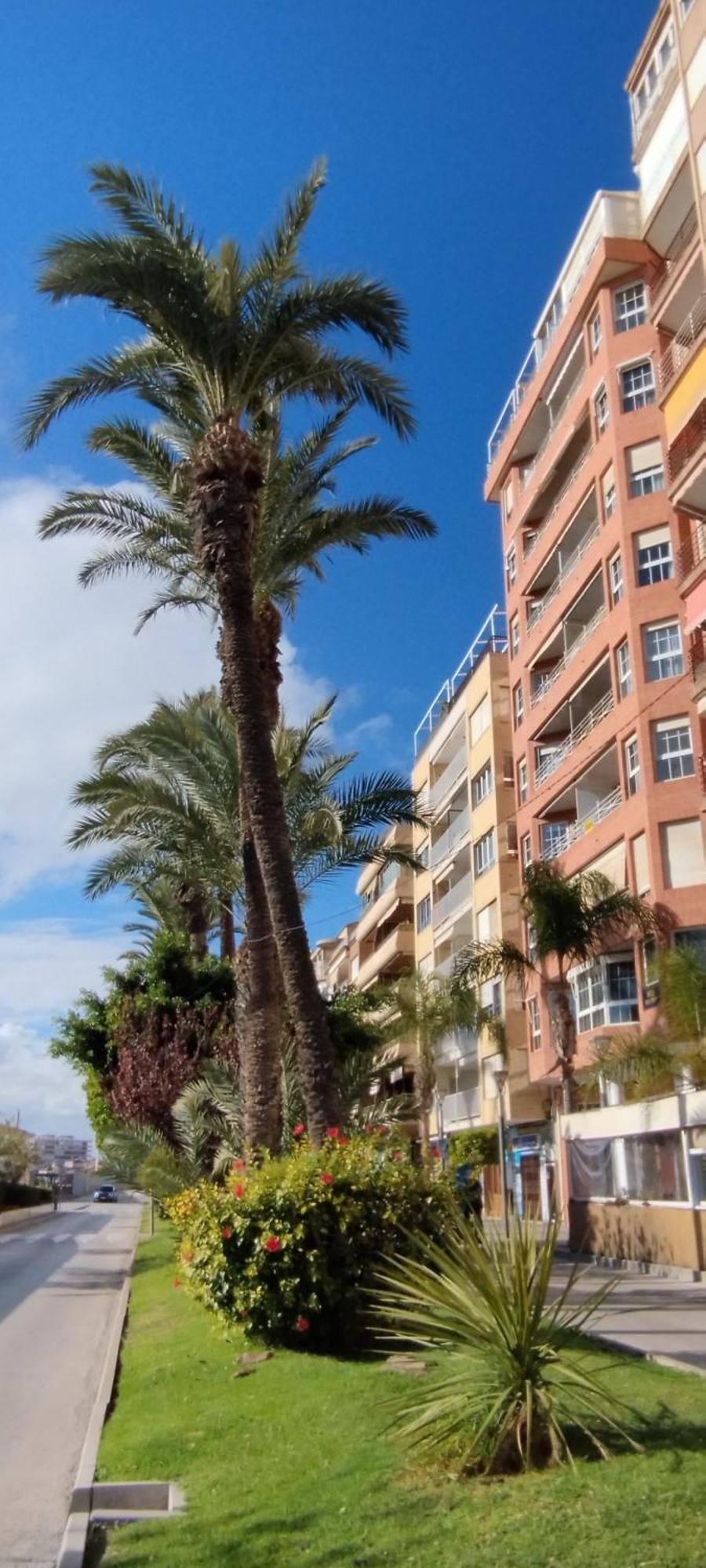Seaview Playa Del Cura 50m Citycentre Apartment *