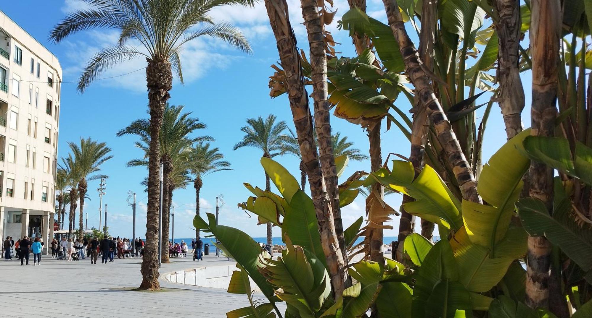 Seaview Playa Del Cura 50m Citycentre Torrevieja